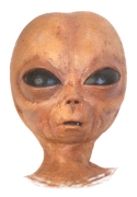 Random Image