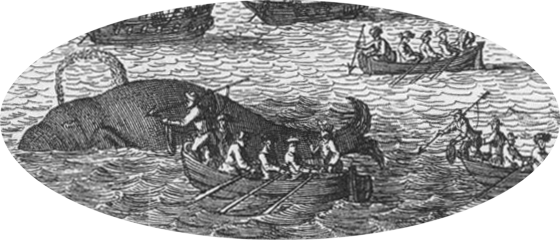 Whaling in the Eighteenth Century